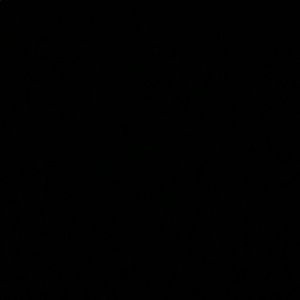 Meet your Posher, Jayla